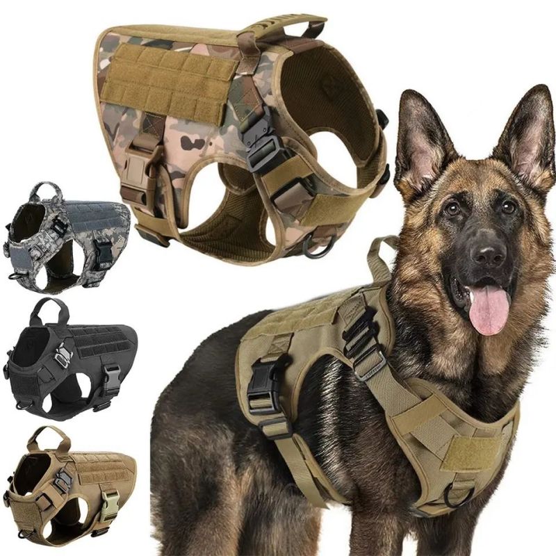 Калон Пет Ҷабҳаи Vest Dog шикор куртаат